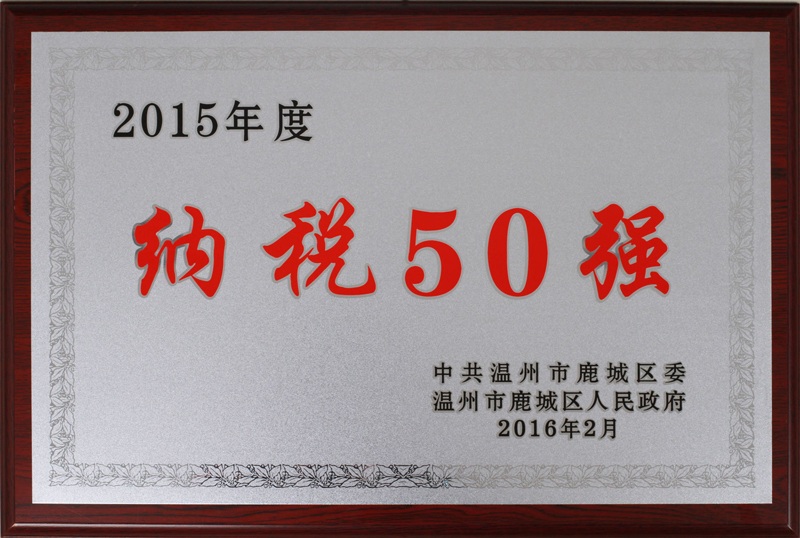 2016年 溫州市鹿城區度納稅50強（2015年度）